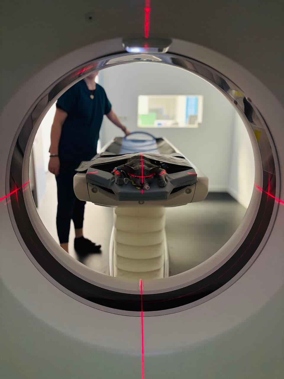 Scanner & Imagerie