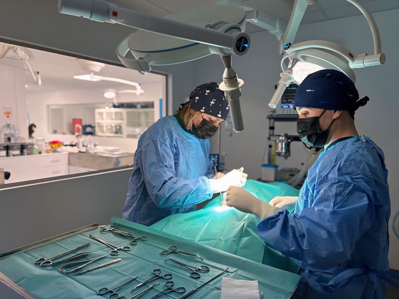 Chirurgie de la rate