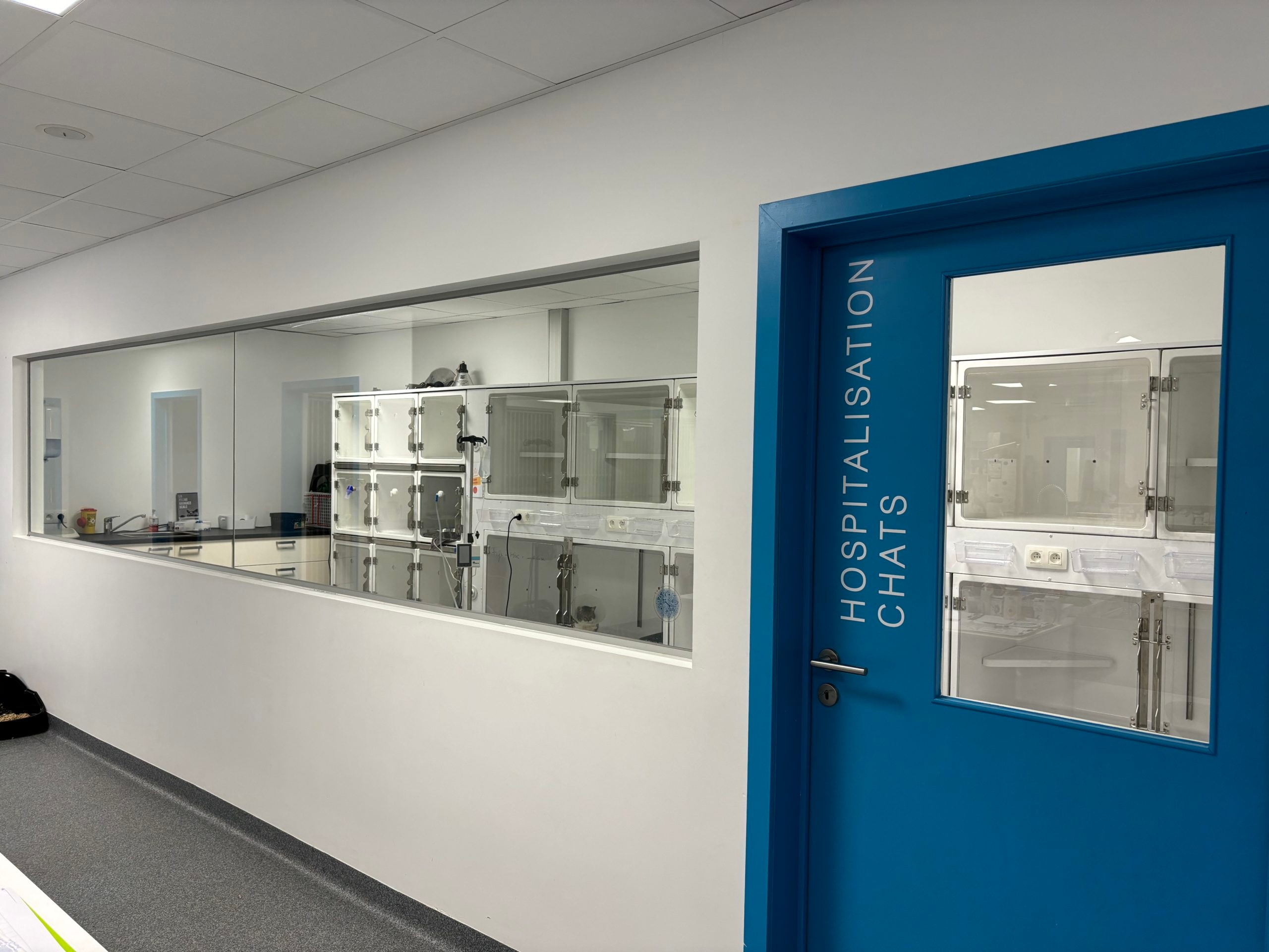 Services vétérinaires AmiVet