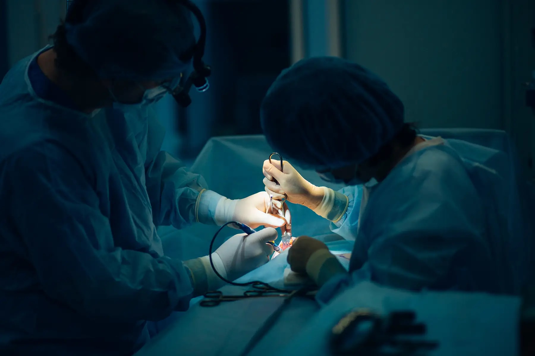 Centre vétérinaire AmiVet - Accueil chaleureux pour vos animaux à Neupré