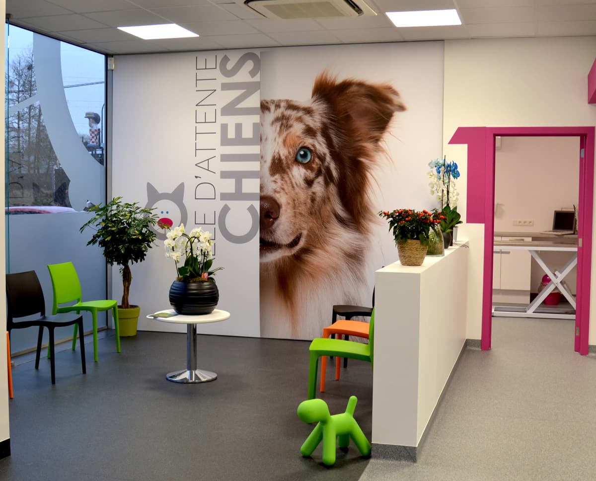 Salle d'attente pour chiens